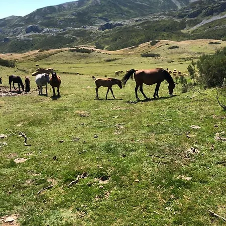 Hotel Rural Los Argueellos